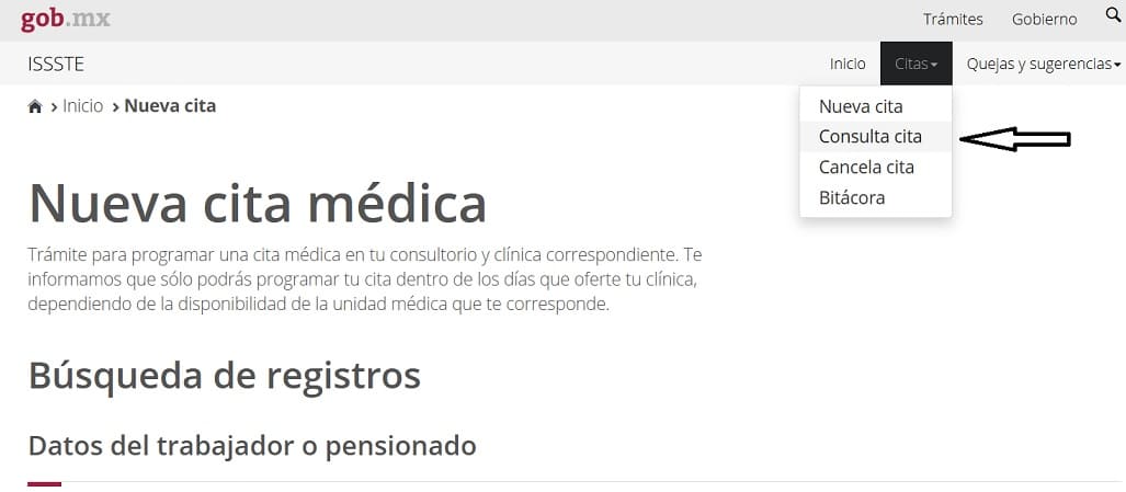 issste citas médicas por internet